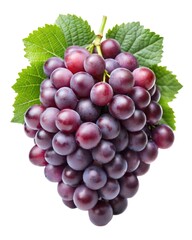Juicy red grapes hanging from a vine, showcasing their rich color and luscious texture.