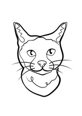 Cat One Line Art – Minimalist Continuous Line Drawing for Pet Logo, Tattoo, and Vector Illustration