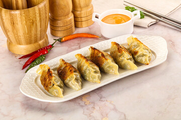 Japanese fried Gyoza stuffed dumplings