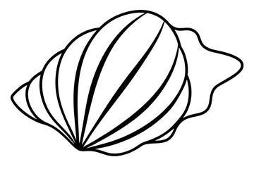 Fototapeta premium seashell line art silhouette vector illustration
