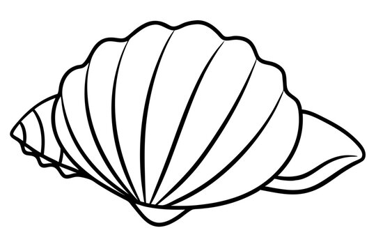 recommend clip art: seashell line art silhouette vector illustration