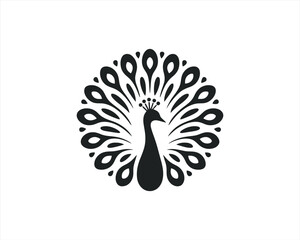 Peacock logo design icon symbol vector illustration. Peacock bird vector template.