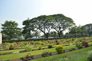 garden in the park
