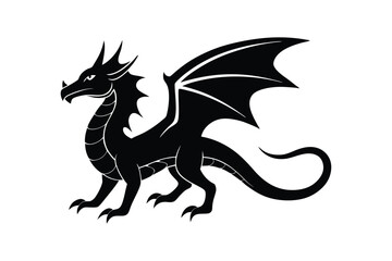 black and white dragon