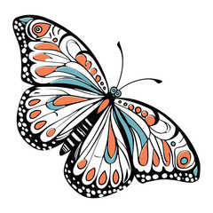  I created a Butterfly  vector with white background