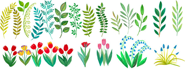 Set of plants and flowers painted in watercolor. Spring motifs.