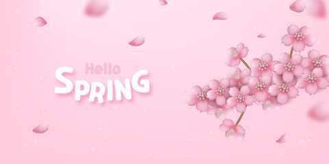 Spring flower background with a cute fluttering cherry blossom