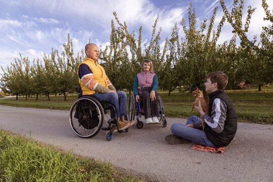 Family with a teenage son is walking in the orchard