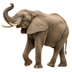 Obraz premium Elephant AI Generated Image