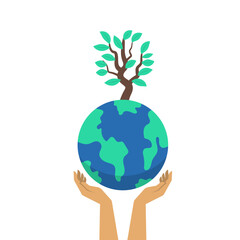 Reforestation Illustration