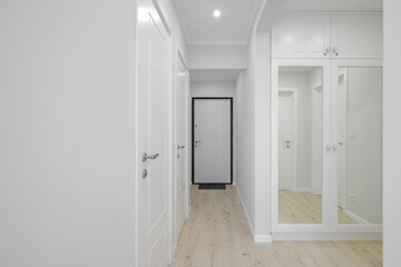 Entrance door in the hallway of the apartment interior