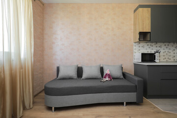 Sofa in the interior of the apartment