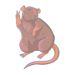 Gray cute rat posing. Vector isolated illustration