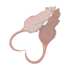 Isolated illustration of two rats with tails folded into a heart shape