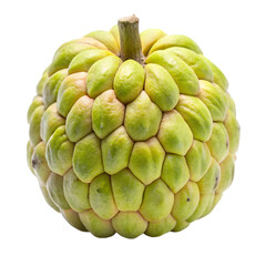 Fototapeta premium Custard Apple fruit isolated on transparent background 