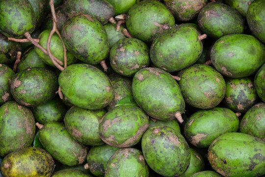 Pile of green fresh Ambarella fruit with abstract pattern and texture.Green texture background.For graphic design,3D rendering and banner background