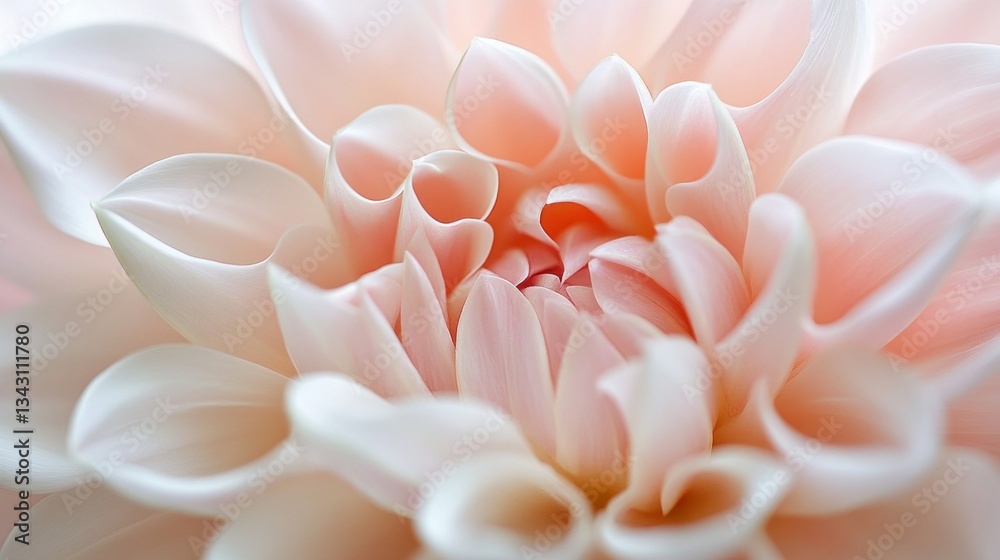 Poster in a peaceful garden, soft pink petals bloom gracefully, showcasing a mesmerizing arrangement. each 