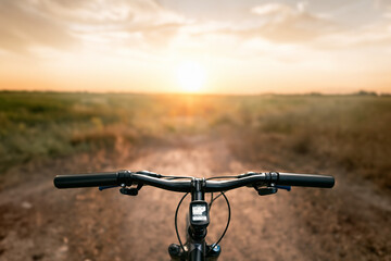 Sunlit Cycling Trails in the Wilderness. Summer sport activities.