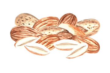 Almond nut kernels in pile. Hand drawn watercolor illustration. Natural organic nutririon, healthy eating. Ingredient for cooking or backery, spice and seasoning. Clipart for food design, menu, print.