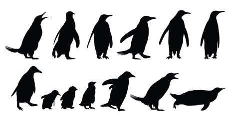 Set of silhouettes of wild penguins.
