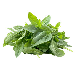 Obraz premium A pile of fresh green baby spinach leaves on a transparent background