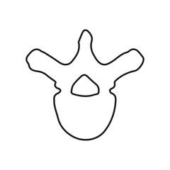 thoracic vertebra line icon