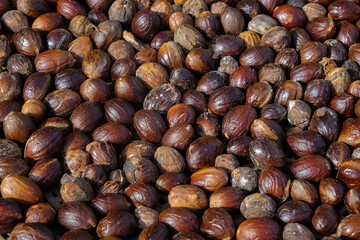 Close up abstract pattern and texture of a collection of brown nutmeg seeds. Nutmeg is used as a cooking spice and traditional medicine. Agricultural industry concept. For graphic design, 3D rendering