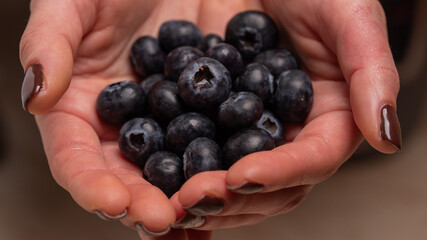 Close-Up of Fresh Blueberries Held in Open Hands Showcasing Natural Healthy Fruits