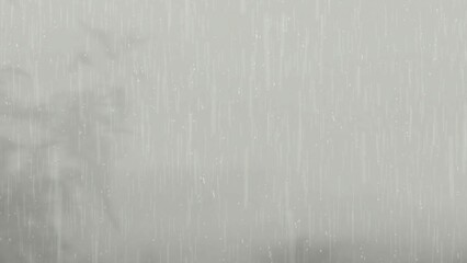 Rainy Day Window Scene Gray Light Drizzle Shadow Tree Outside Abstract Background Texture