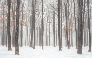 Ethereal winter forest shrouded in fog with bare trees and soft white snow covering the ground