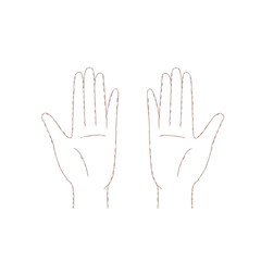 両手の手のひら