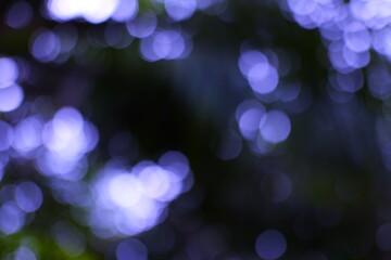 Blurred blue and dark hues creating a serene and mystical atmosphere, perfect for backgrounds or...