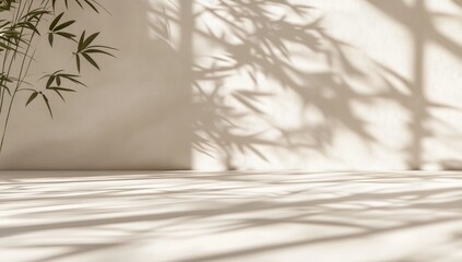 Minimalist, light-filled room with bamboo shadows
