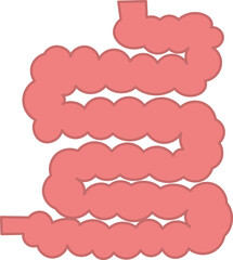 シンプルで優しい色使いの小腸イラスト