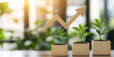 Growing Success (1)