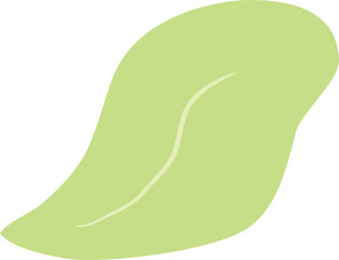 illustration leaf shape일러스트 나뭇잎 모양 