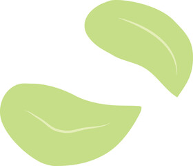 illustration leaf shape일러스트 나뭇잎 모양 
