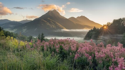 Sunset and Sunrise Views of Mount Rainier with Reflection in a Scenic Mountain Landscape