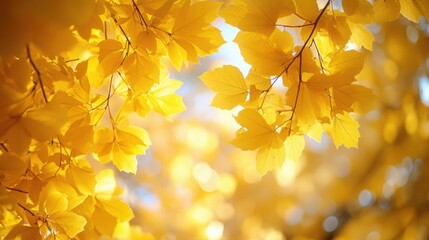 Yellow leaves frame the vibrant scene.