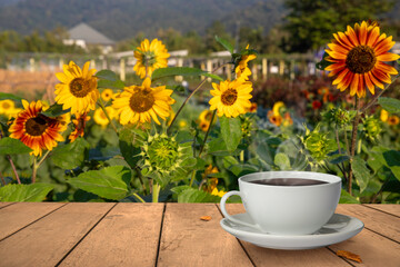 A cup of hot coffee  on wood table, blurred Sunflower fields Background., Morning coffee cup