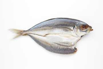 美味しそうな魚の干物_あじ