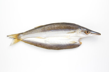 美味しそうな魚の干物_かます