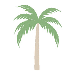 Tropical palm tree illustration minimalist arecaceae vector
