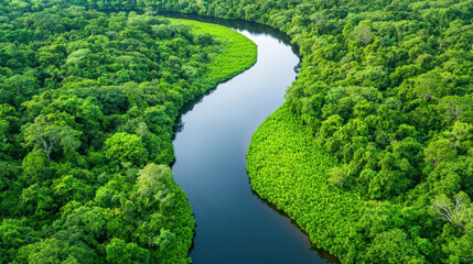 A stunning aerial view of a winding river through lush green vegetation.