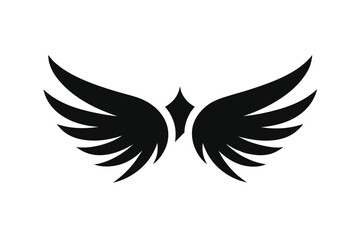 Fototapeta premium wings