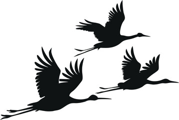 Obraz premium A stunning silhouette of flying cranes, captured in graceful motion, symbolizing freedom, unity, and the beauty of nature as they soar across the horizon in perfect harmony.