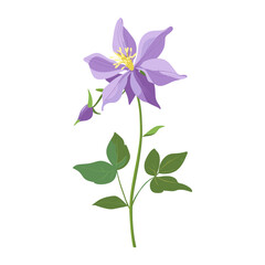 A Columbine wildflower clip art illustration blossom leaves vector