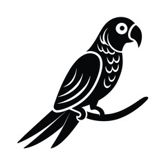 Obraz premium bird of paradise