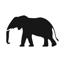 Elephant silhouette illustration background wildlife vector