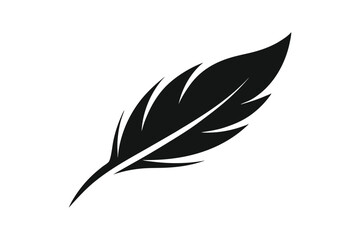 Obraz premium feather vector illustration